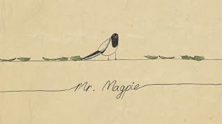 Mr.Magpie (Official Video)