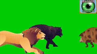 Jungle animals green screen non copyright video|Lion🦁Bear🐻pig animals running green  free download