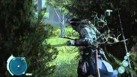 Getting Stuck in Trees in Assassins Creed 3