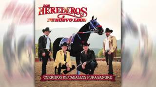 Los Herederos de Nuevo León - Mi Caballo El Invasor ( Audio Oficial ) chords