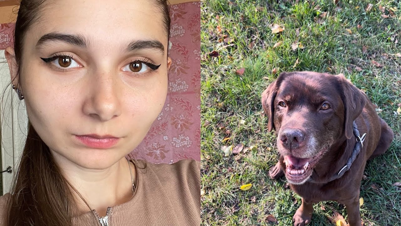 Липома у собак| Как мы лечили жировик 🥺 - YouTube