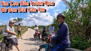 Ngậm Ngùi Quay Đi Khi Biết Được Nơi Ở Của Con Rắn Dài 4M Tgsb 