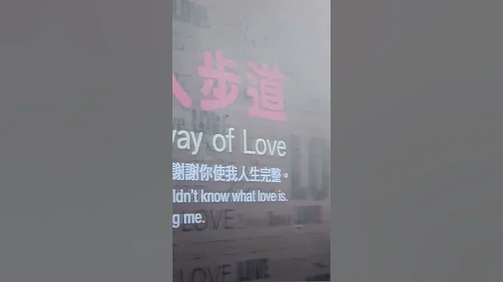 The Great Formosa Democracy TWN(ROC)_「是千里之外伊諾美人．好迷人啊真美太美啦」 - 天天要聞