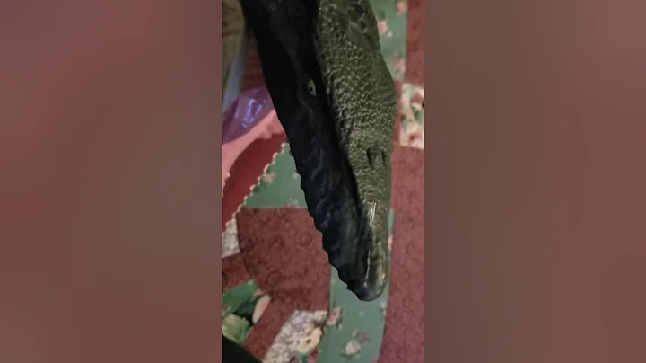 my mosasaurus review