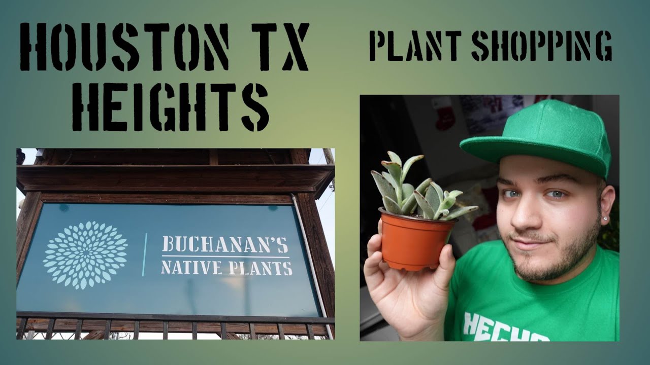 Houston's Buchanan's Nursery YouTube