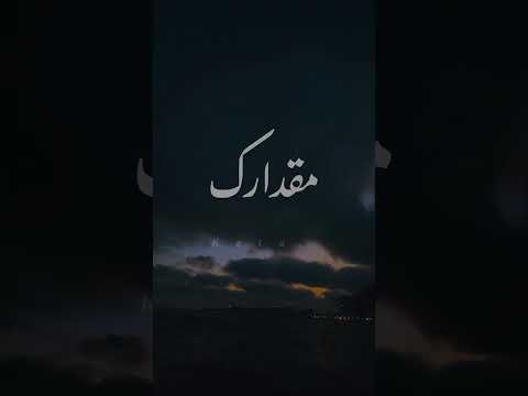 كل يوم يزيد مقدارك اقتباسات حب  