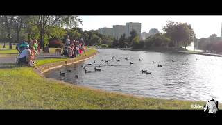 Moto X Style Video capture in 4k(30fps) and Cinematic Effect by Sony Vegas pro 13 screenshot 5