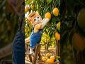 Cute Cat Plucks a Mango from the Tree 🥭🐱 #shorts #viral #cute #mango