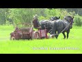 Climate solutions in agriculture  wildwood farm horses