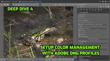 Deep Dive 4 - Setup Color Management with Adobe DNG Profiles