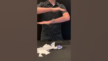 Shearing Force Explained