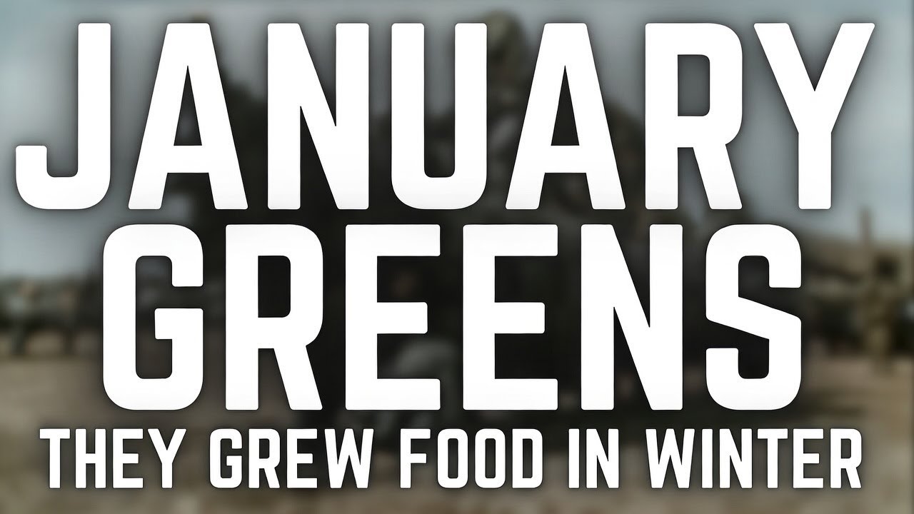 В январе они ели свежую зелень — зимний кулинарный секрет времен Второй мировой войны.