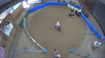 Big Sky Ranch Sorting Saddle Series #5 - #5 - Round #2 - Ride #15