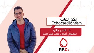 إيكو القلب (Echocardiogram)