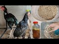 Best mix diet for molding Birds 😊| Kureez Mai birds ki behtreen mix khurak mini Zoo pets