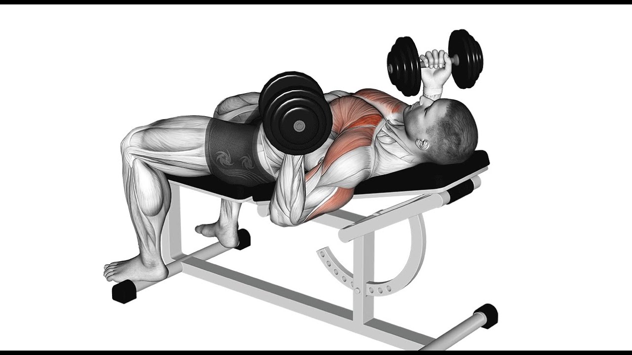 ��������� ���� � ������ ����-�����������: ����.