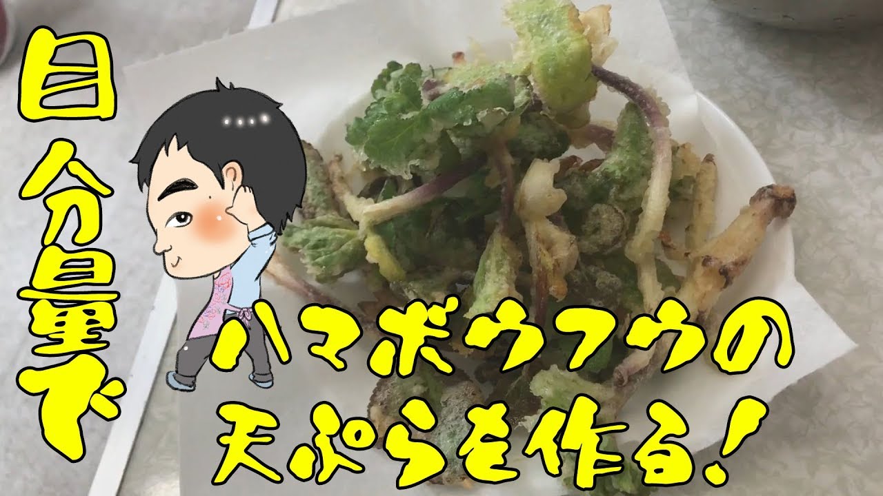 男は黙って目分量 ハマボウフウを食してみた 調理 天ぷら Youtube