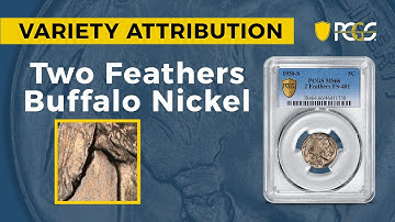 PCGS Variety Attribution | Two Feathers Buffalo Nickel