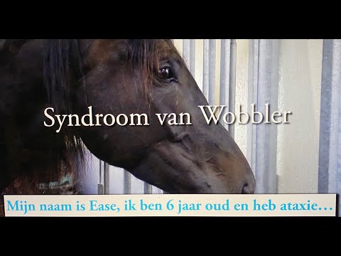 Video: Wobbler-syndroom