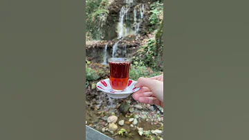 احلى كاسة شاي في مدينة يلوا تركيا 