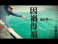 因禍得福┃爆釣┃池魚┃雞魚┃大漁小魚 #44┃爆釣篇┃中文字幕