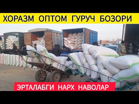ХОРАЗМ ОПТОМ ГУРУЧ БОЗОРИ АНИК НАРХЛАРИ 22 МАРТ 2025-ЙИЛ !!! ХОРАЗМ АБЗОР