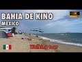 BAHIA DE KINO, Sonora, MEXICO 🇲🇽  - WALKING Tour 4K