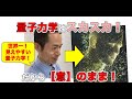 【世界一見えやすい量子力学!】量子力学の世界はスカスカ!だから【意】のまま!#ゼロポイントフィールド #量子力学