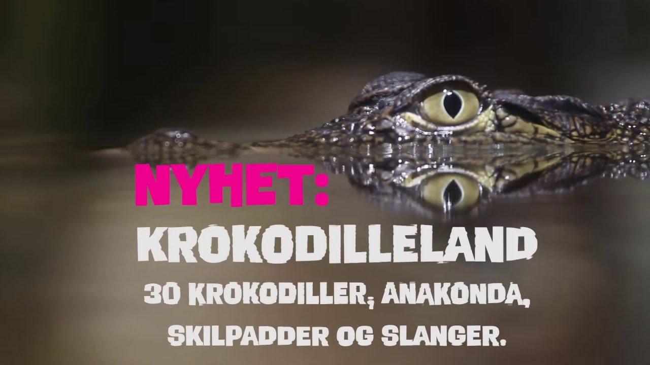 Bjørneparken åpner påsken 2016