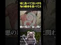 東出さんがダメと言ったクマを刺身で食うキジーがえぐい