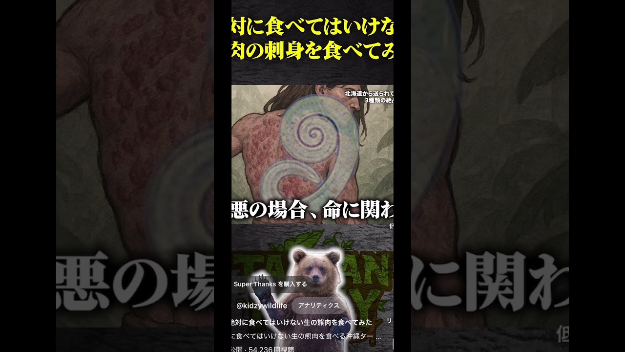 東出さんがダメと言ったクマを刺身で食うキジーがえぐい