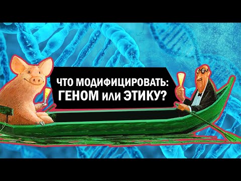 Video: What Are The Achievements Of Lomonosov In Science