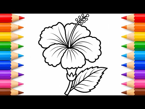Easy Hibiscus Flower Drawing 🌺 | Step by Step Coloring Tutorial for Beginners.