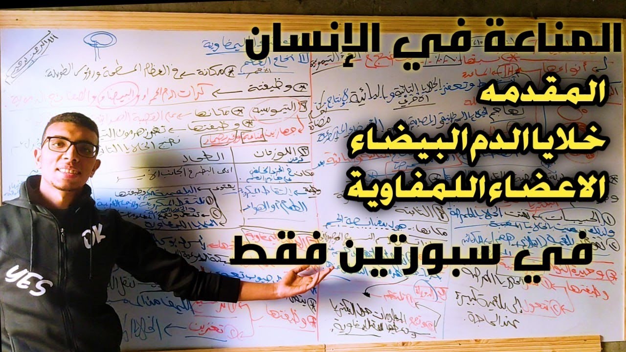 شرح مقدمة المناعة ف الانسان وخلايا الدم البيضاء والخلايا اللمفاوية بطريقة مبسطة جدا