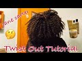 Twist Out Tutorial ft. Jane Carter Solution Products..| Is It Worth Your Coin?