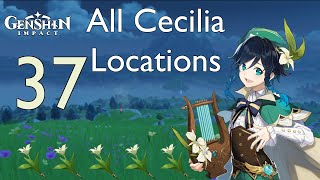 Genshin Impact l All Cecilia Locations
