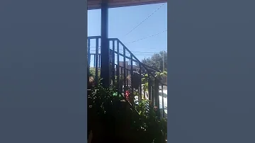 حل لغز ذبح ثلاثون ماعز في سبع ايام بشرط يكون العدد فردي 