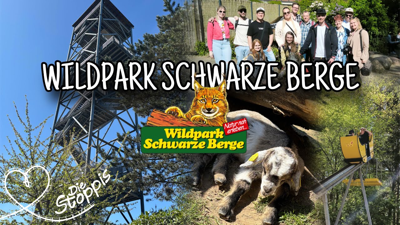 Wildpark Schwarze Berge | Ein BESONDERER TAG! ⛰️🦅