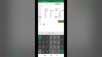 Electronic Spreadsheet