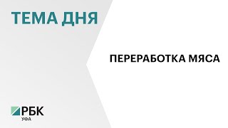 Китай может вложить $100 млн в мясоперерабатывающий завод в Башкортостане