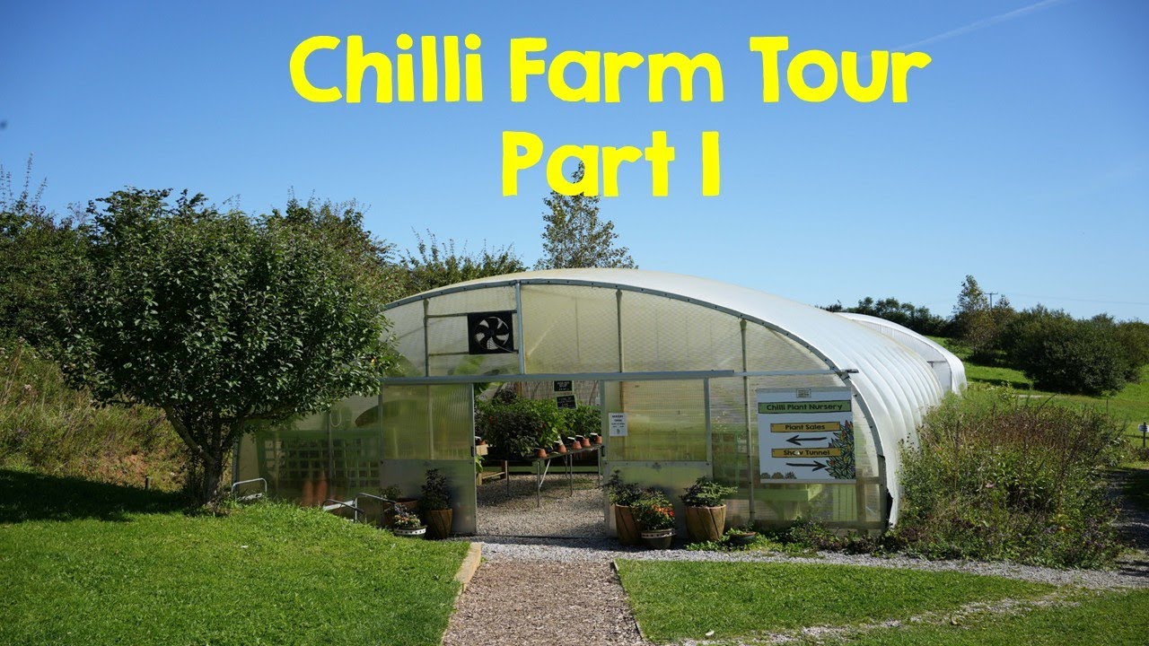 Chilli Farm Tour Part 1! - YouTube