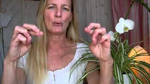 Muscle testing - connect with your body`s great intelligence!