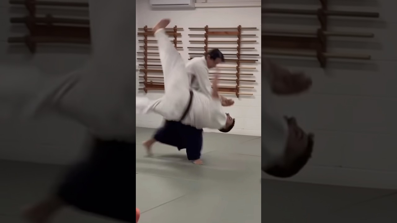 Aikido Michiharu Mori Sensei 