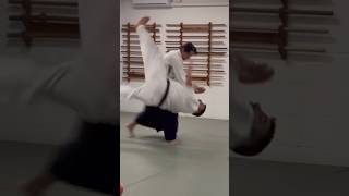 Aikido Michiharu Mori Sensei #shorts