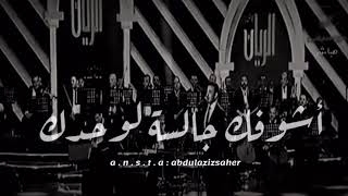 جالسه لوحدك كاظم الساهر ضمن حفلات سوق واقف شعر