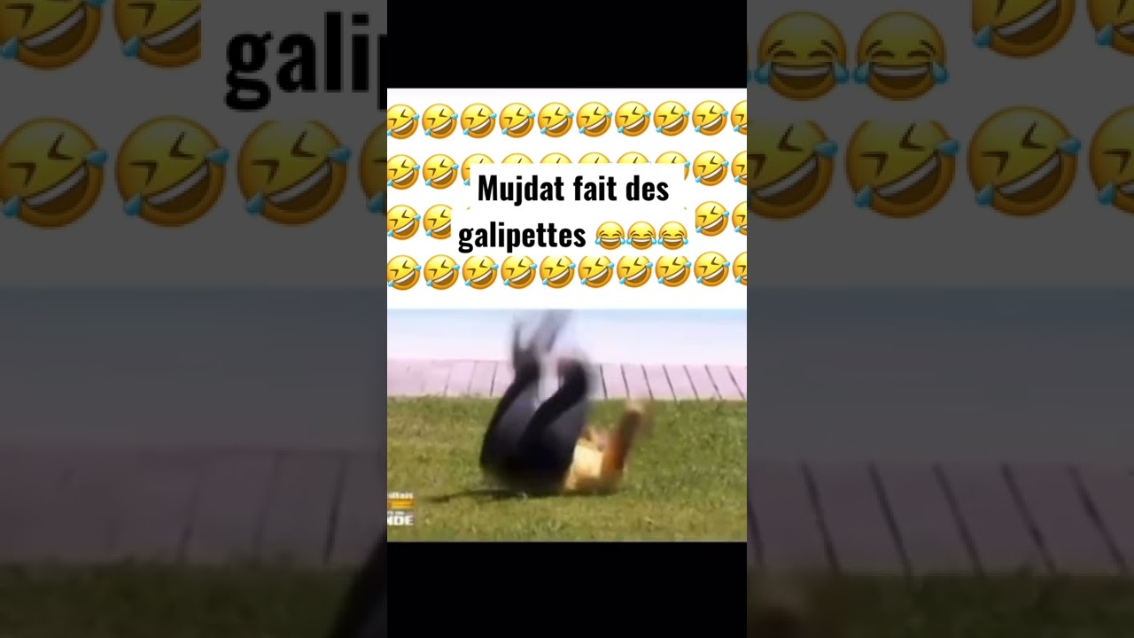 Mujdat Fait des galipettes dans le jardin 🤣