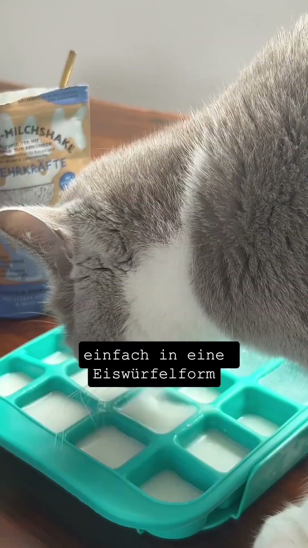 Moppi und MiWau: Die Katzenmilch | Unser Sandmännchen