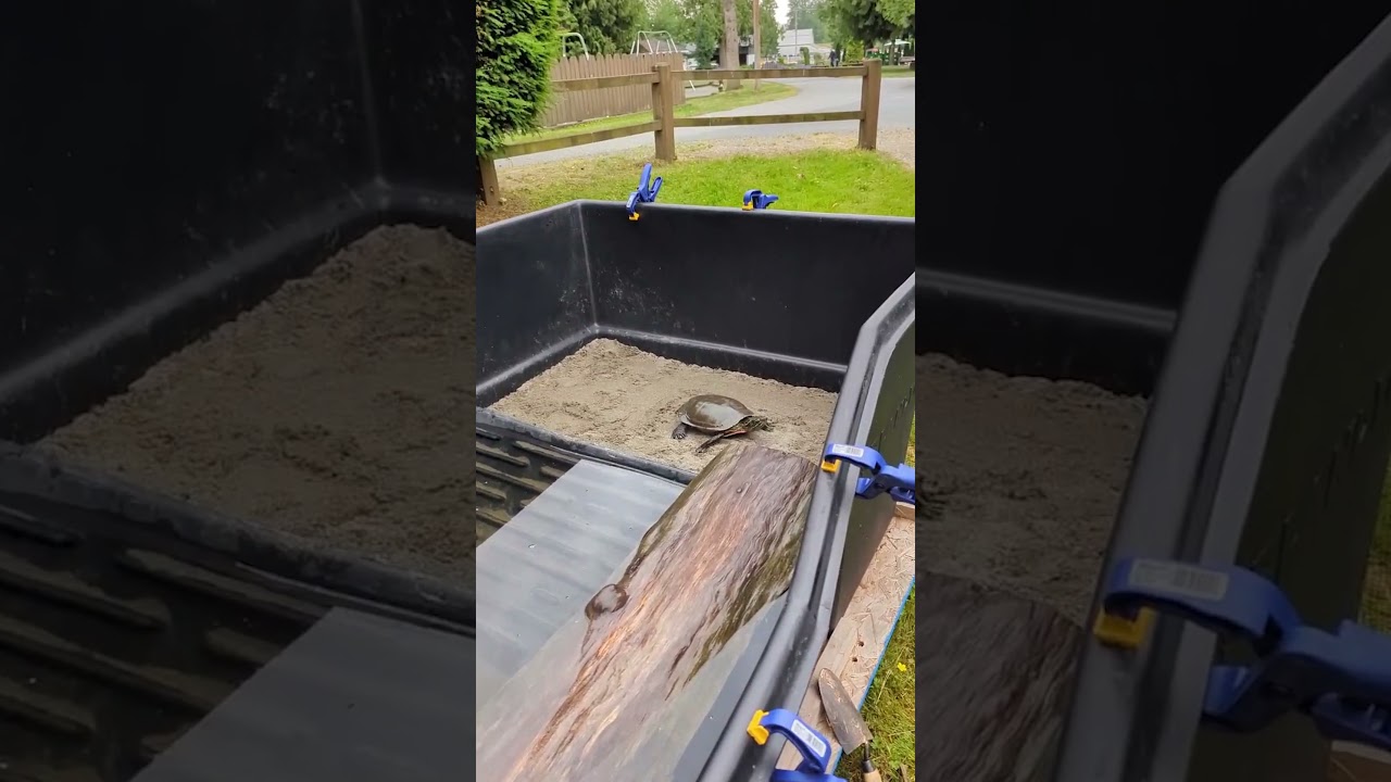 Tutu in her new home