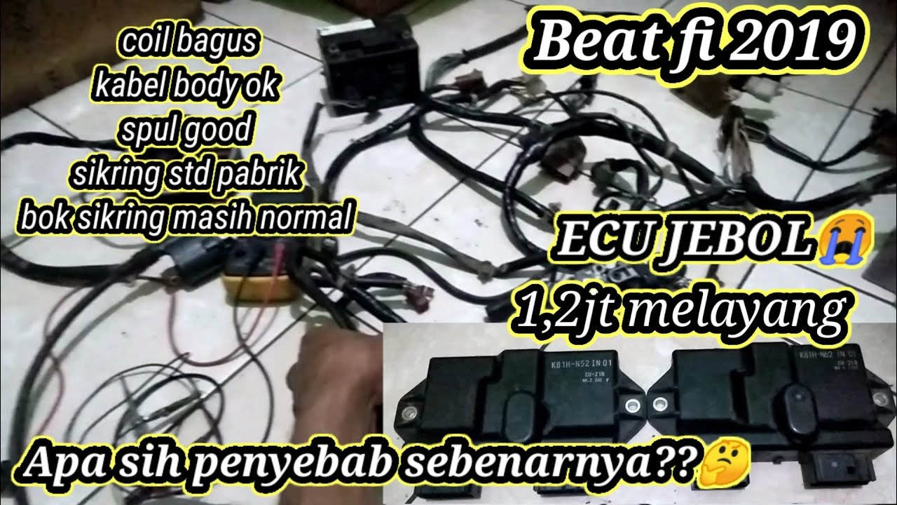 penyebab ecu atau ecm jebol#beat fi 2019 - YouTube
