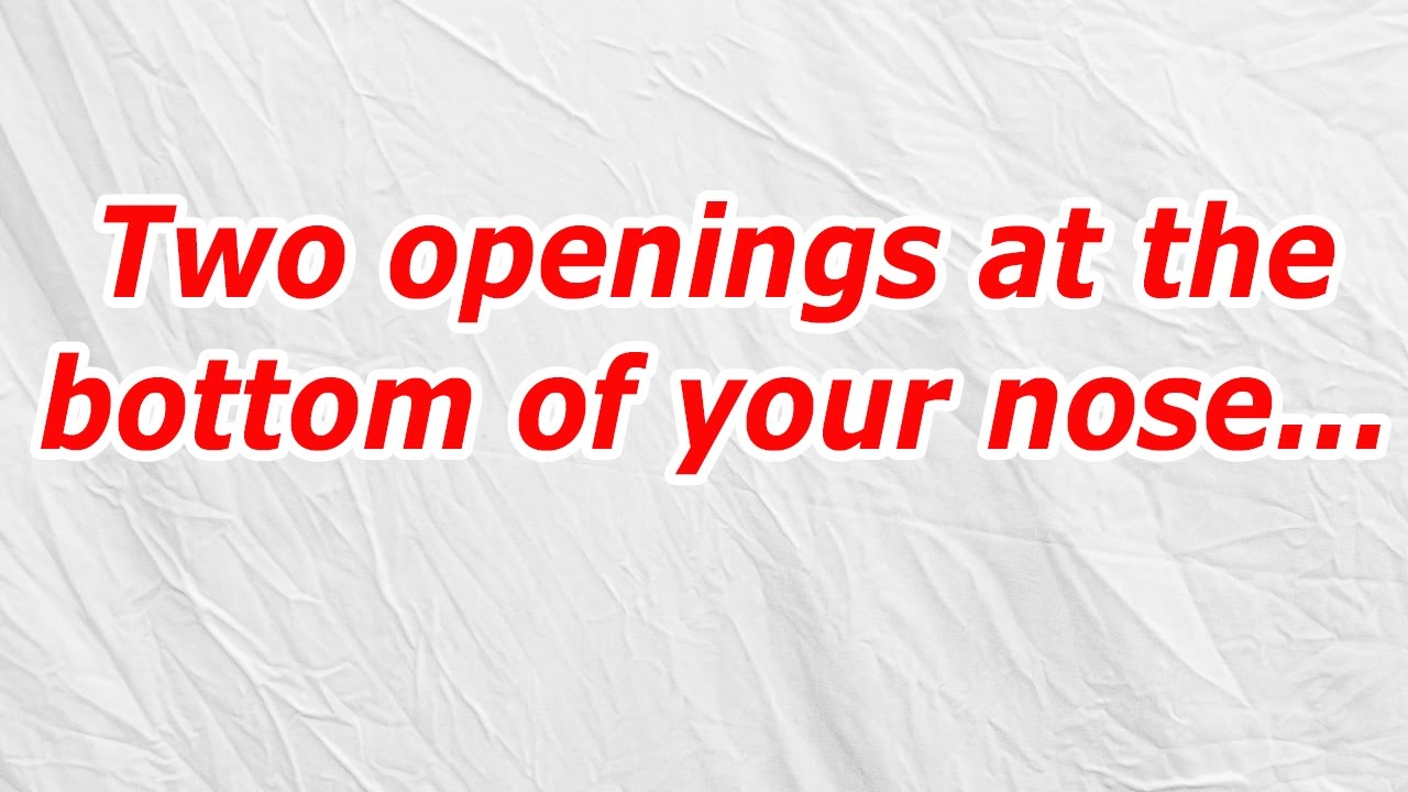 Two Openings At The Bottom Of Your Nose CodyCross Answer Cheat YouTube